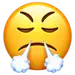 生气 傲慢 鼻孔喷气