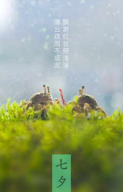 Annmeiyu采集到视觉作品