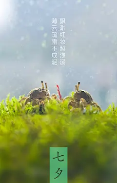 七夕，海报，情人节，壁纸，螃蟹，鱼缸，牛郎织女，中国传统节日，民俗，水族箱