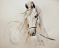 Andalusian horse portrait by ~Olga5 on deviantART