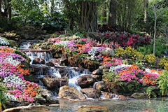 蜘蛛man采集到水景，自然
