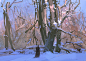 89f060fdly1gp9lqnn4r0j20rs0jn7by