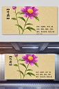 芍药本草纲目中草药介绍展板