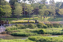 归去迟采集到公园、乡村等大尺度植物搭配