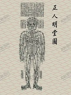中医--正人明堂图 【酷图网】中医,正人明堂图,中医文化,传统中医,养生展板,养生海报