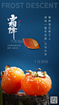 大气霜降柿子蓝色简约海报图片-在线PS设计素材下载-千库编辑