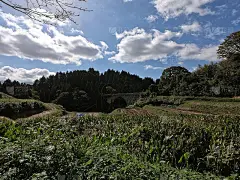 日本熊本的乡村景色