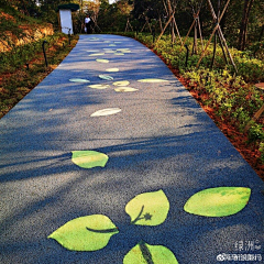 夏天的虎采集到彩色路面