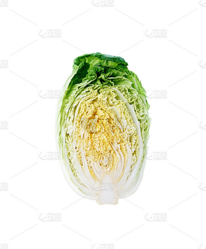 切成两半的大白菜，干净的横切
