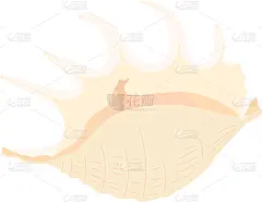 海洋,海滩,分离着色,海产,图像,艺术,动物,矢量,贝壳,设计