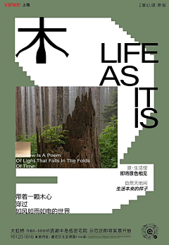 大啊鸟采集到版式