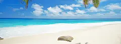 蓝色海边沙滩背景_新图网 https://ixintu.com 蓝天 白云 沙滩 椰树 大海 夏日 旅游 度假 海报banner 摄影 风景