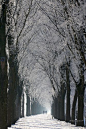 Um passeio em ambiente de inverno
