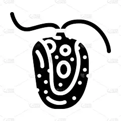衣藻莱茵海藻字形图标矢量插图