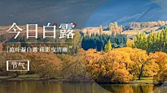 白露节气祝福实景日签横版海报