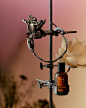 Aesop's latest fragrance- Aurner Eau de Parfum-1