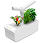 UNI智能桌面种植机 uplanet创意免灌溉盆栽礼物 智能家居种菜机-淘宝网