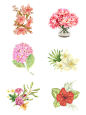 原创水彩花朵花卉手绘插画矢量卡通清新