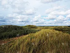 Texel