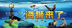 海狮表演活动海报 夏季 清凉  - 源文件下载【酷图网】海狮表演,海狮活动,海狮海报,夏季,清凉,大海,海滩,沙滩,椰树,清凉一夏,