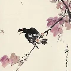 河北成安王雪涛的小写意花鸟作品欣赏