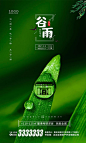 源文件下载- 谷雨 春分 夏至节气 地产微信 海报 绿色背景