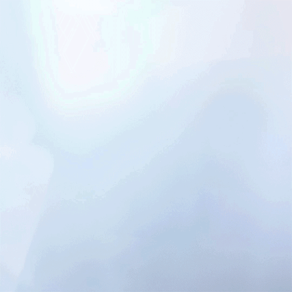 视频2