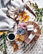 Origins Polska (@originspl)'s Instagram Profile | Tofo.me · Instagram网页版