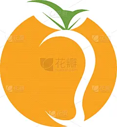 mango fruit