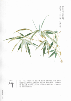 i”Ran采集到竹