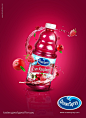 Ocean Spray