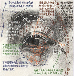 名一采集到学习