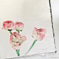 #水彩# 水彩花卉植物作品欣赏by ins: nunu_artroom ​​​​ 