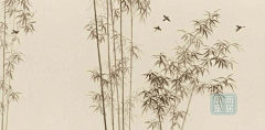 zhang木木采集到背景