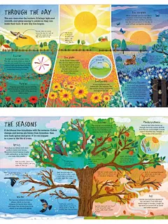 推荐127号书：天呐‼️这本季节的科普书太美啦 - 小红书