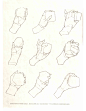 人体结构原理与绘画教学_230.jpg