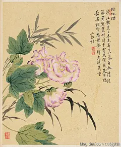 清 &lt;wbr&gt;鄒一桂 &lt;wbr&gt; &lt;wbr&gt;花卉八開