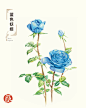 #飞乐鸟作品#《色铅笔下的植物王国》——用心诠释植物的美，在创造美的同时让你享受绘画带来的乐趣！热爱生活，留意身边的植物，创造属于自己的植物王国吧！