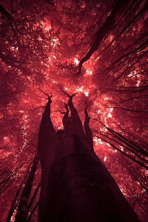 (7) Tumblr