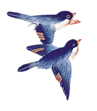 插画绘画壁纸背景啊-