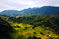 Seamlessly golden fields by Tiên Ông on 500px