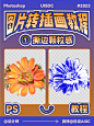 照片转插画教程！8个步骤不用打草稿轻松搞定