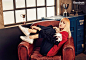 Blackpink