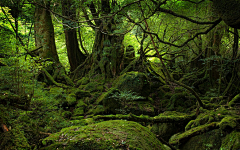 凉快♪采集到风景