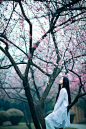 〔华夏有衣，其名汉服〕。