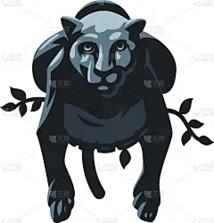 美洲豹,可爱的,野生动物,肖像,壁纸,哺乳纲,动物,花,剪影