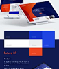 Web Design Process for Software Mind