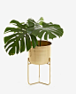 Zara Home Gold Planter