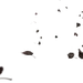 采集图片