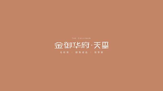 金御华府 天玺-05